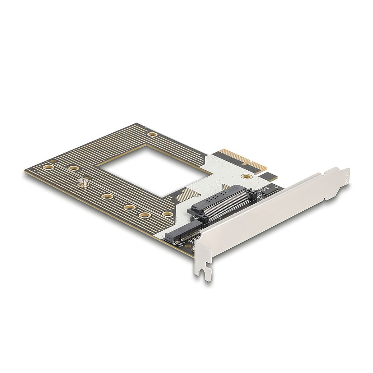 DeLock Carte Contrôleur PCI Express 4.0 x4 vers 1 x NVMe M.2 Key M ou emplacement U.2 - Image 1