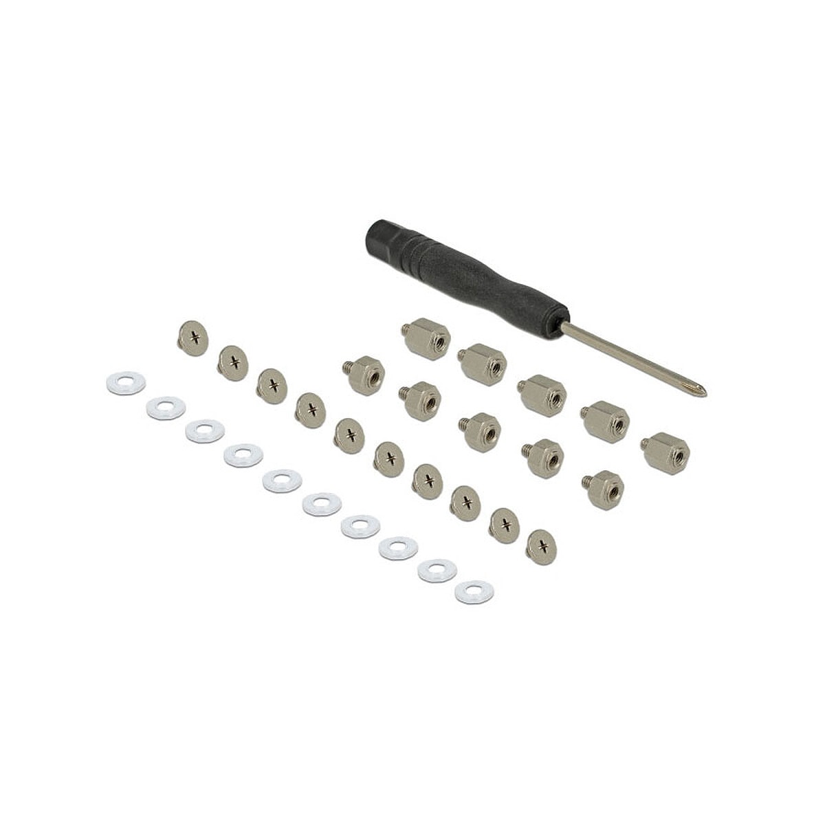 Delock Kit de montage pour SSD M.2 - Image 1