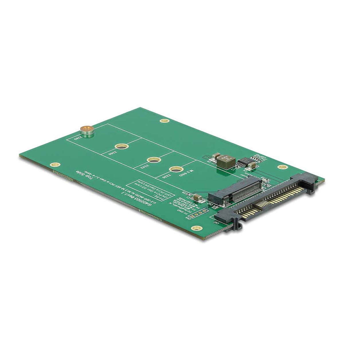 DeLock Convertisseur U.2 SFF-8639 à M.2 NVMe Clé M - Image 1