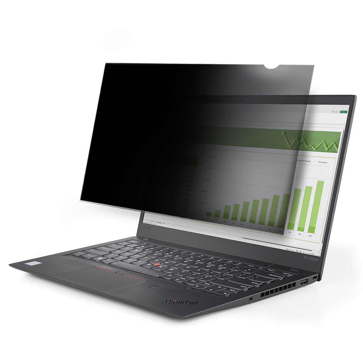 StarTech.com 14L-PRIVACY-SCREEN - Image 1