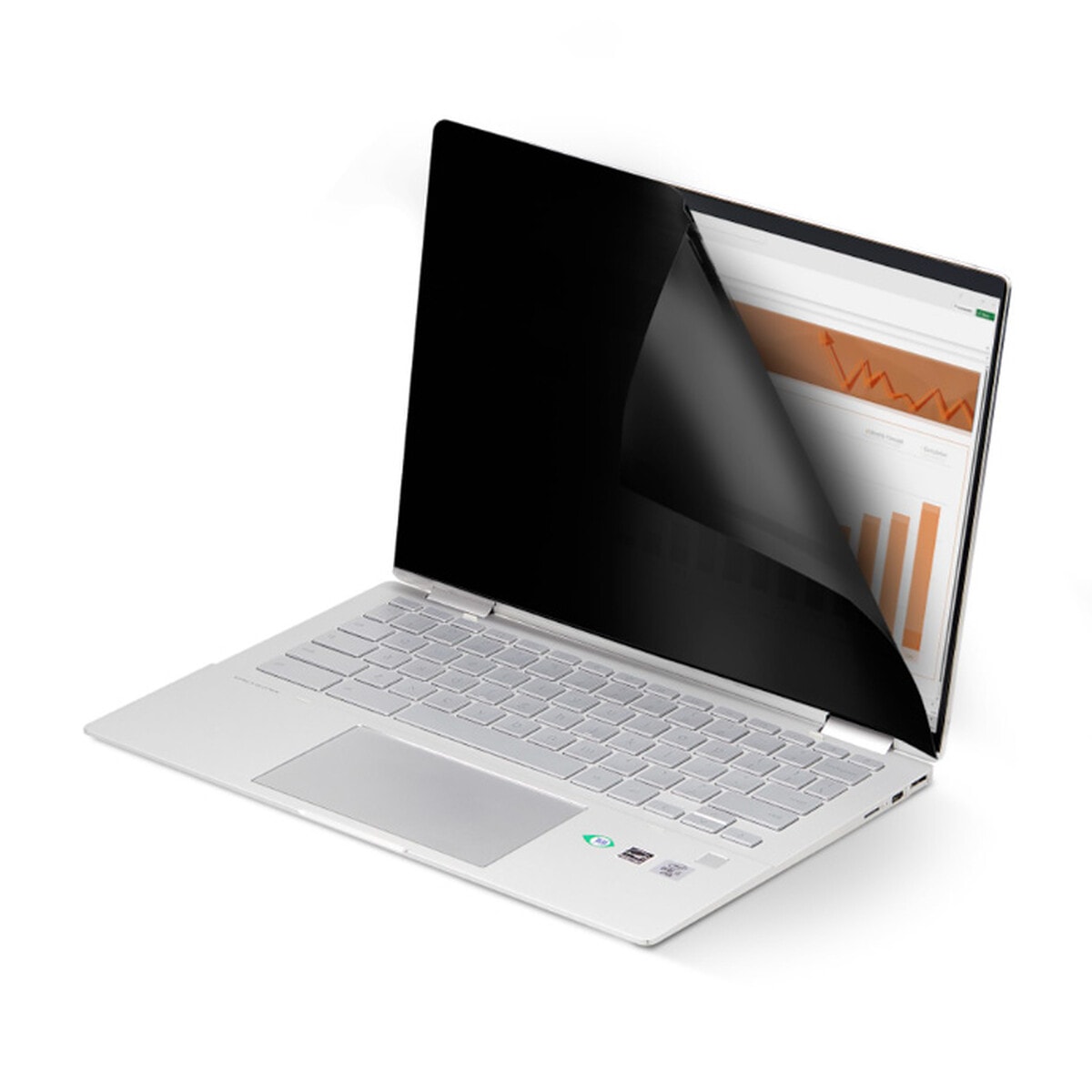 StarTech.com Filtre de Confidentialité/Filtre Antireflet Tactile 14" - Image 1