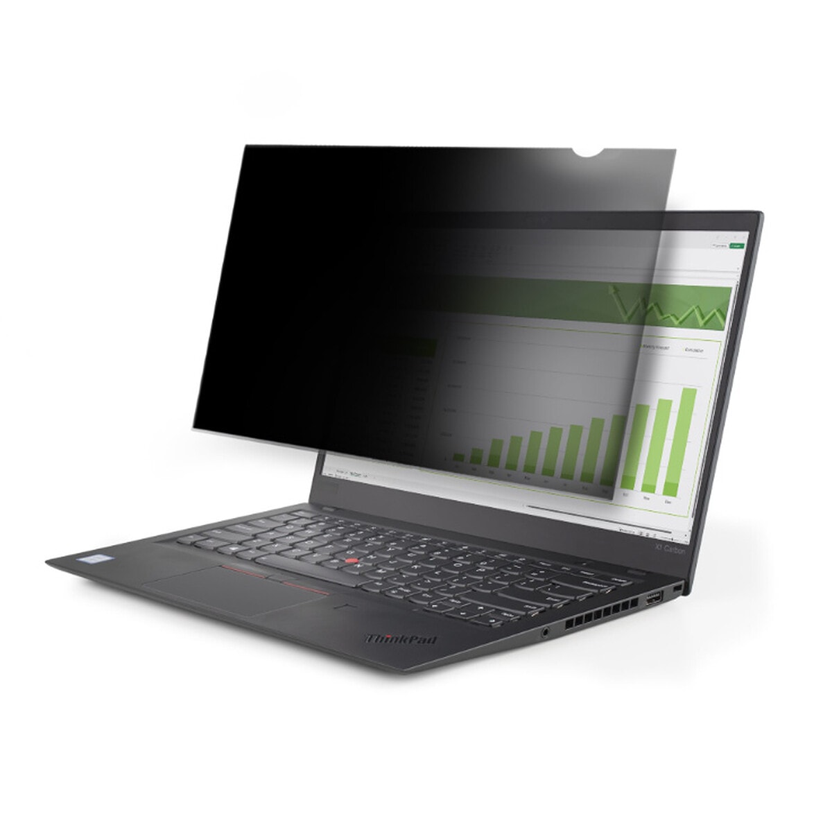 StarTech.com Filtre de Confidentialité/Filtre Antireflet 15.6" - Image 1