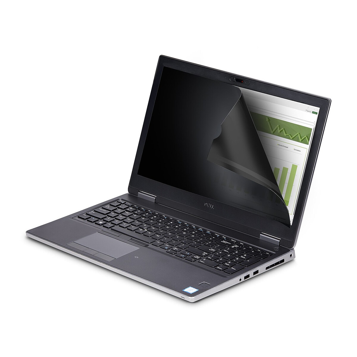 StarTech.com Filtre de Confidentialité/Filtre Antireflet pour écran tactile 15.6" - Image 1