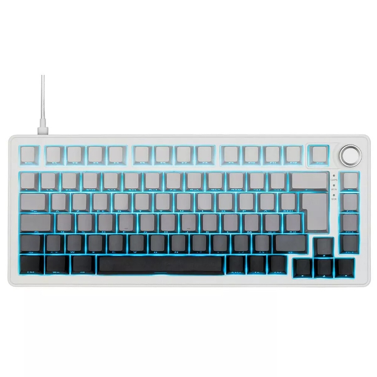 The G-Lab Keyz Elite 300 HE Magnétique (Blanc) - Image 1