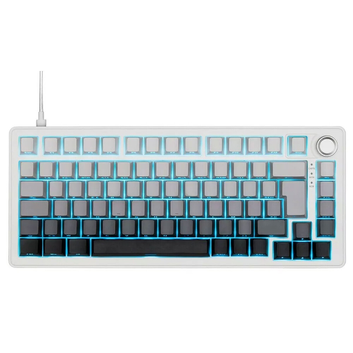 The G-Lab Keyz Elite 300 (Gris/Blanc) - Image 1