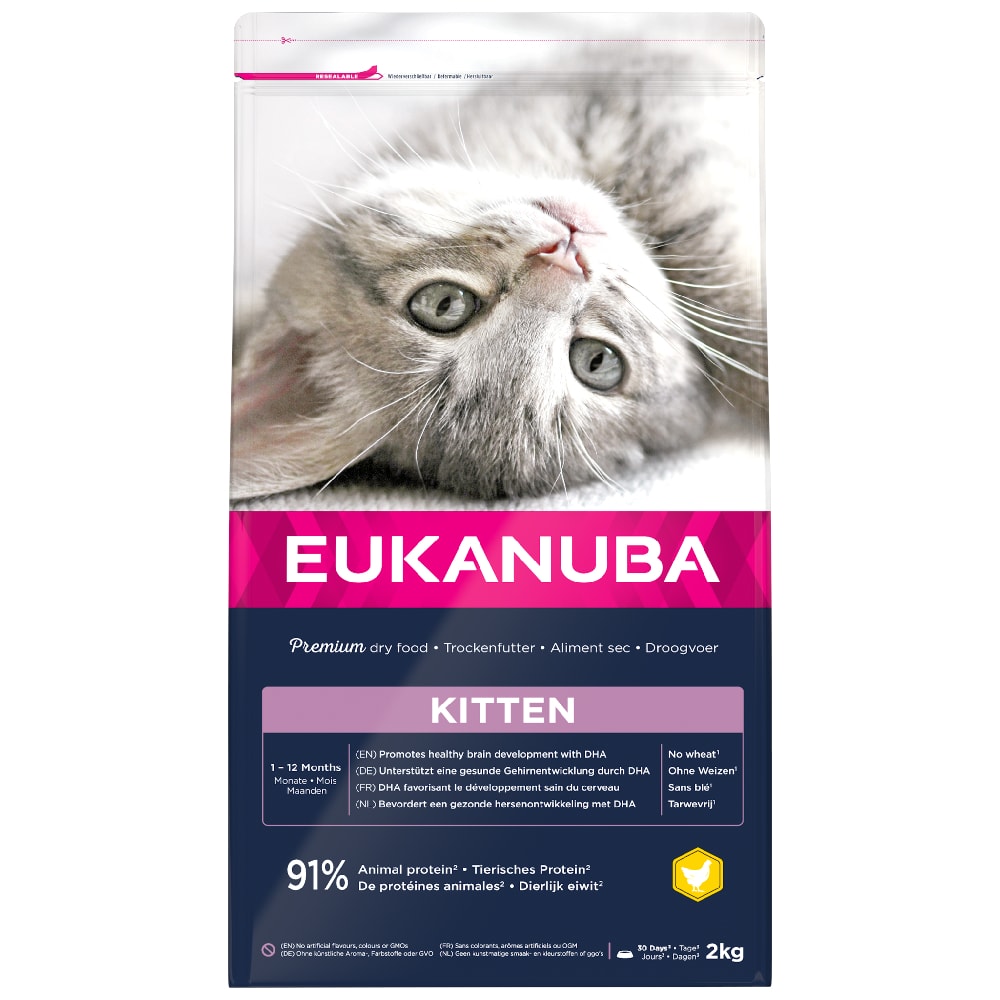 Eukanuba Healthy Start Kitten para gatos - 3 x 2 kg - Pack Ahorro - Image 1