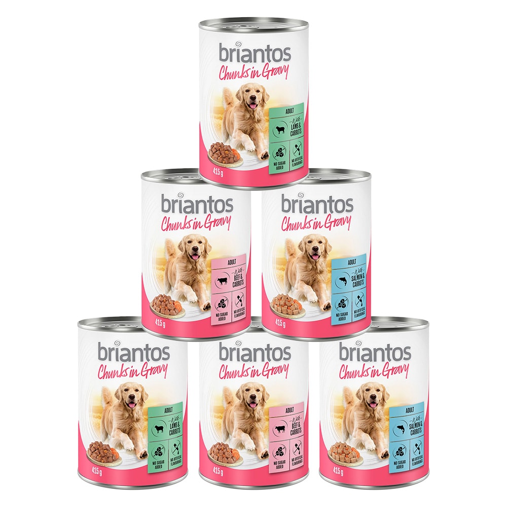 Briantos bocaditos en salsa - Pack de prueba - 24 x 415 g - Image 1