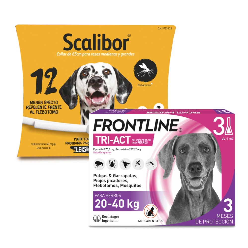 Pack de antiparasitarios: collar Scalibor + pipetas Frontline para perros - Collar 65 cm + pipetas 20-40 kg - Image 1