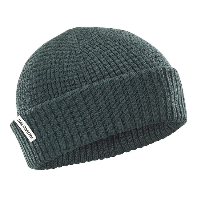 Salomon - Gorro unisex DOCKER BEANIE U SALOMON. - Image 1