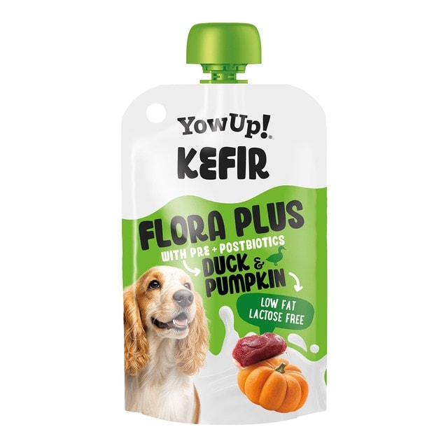 Yow Up - Kéfir cremoso sin lactosa para perros Yo Wup calabaza y pato 115g. - Image 1