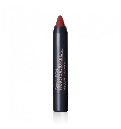 Pintalabios Camaleon Labial Basic Colourstick Tierra - Image 1