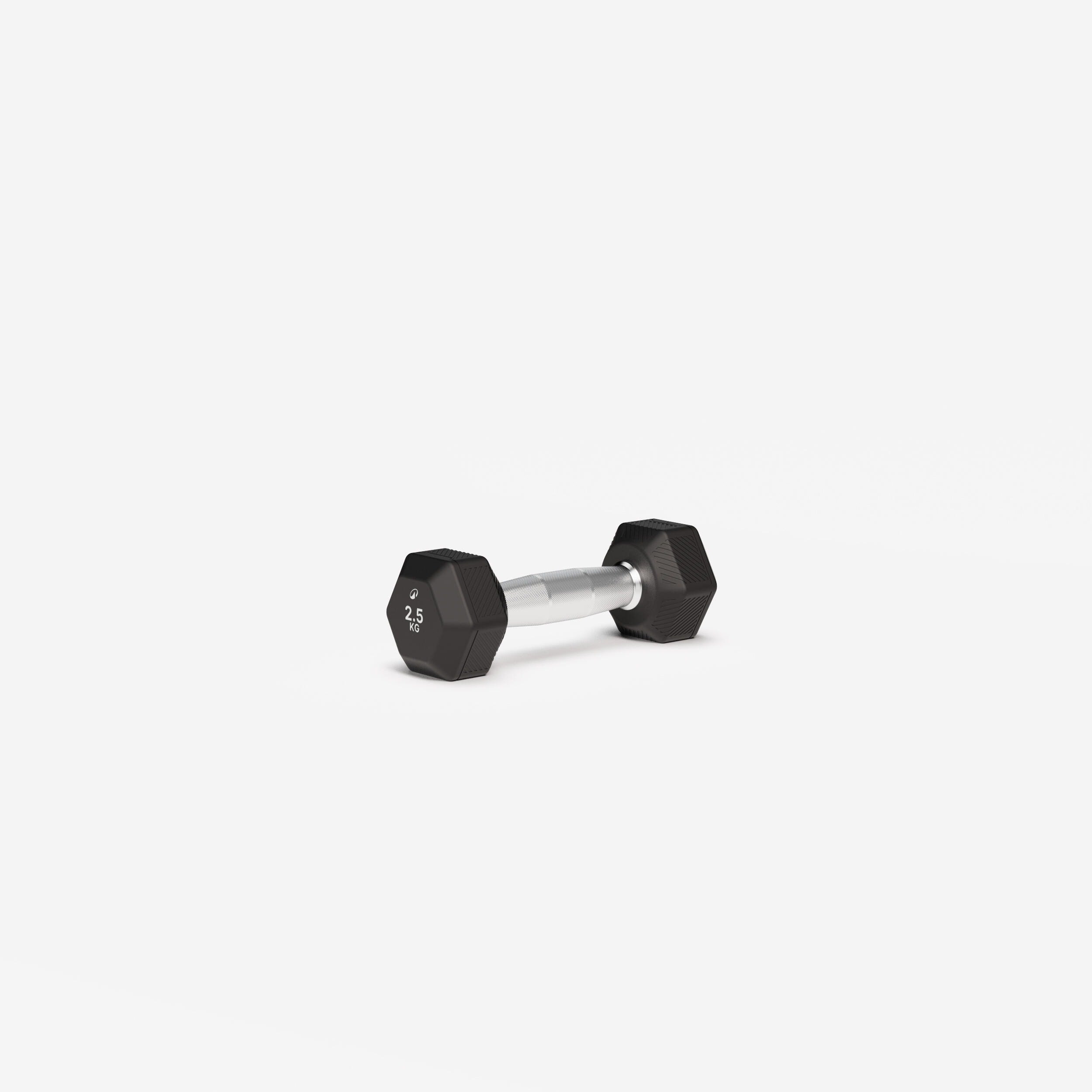 Haltère de crosstraining et musculation Dumbell hexagonale 2,5 kg, noir - Image 1