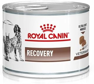 Veterinary Recovery | 12 x 195 g | Complete Dietary Food for Adult Dogs and Cats | Ultra Soft High Protein Foam - Image 1