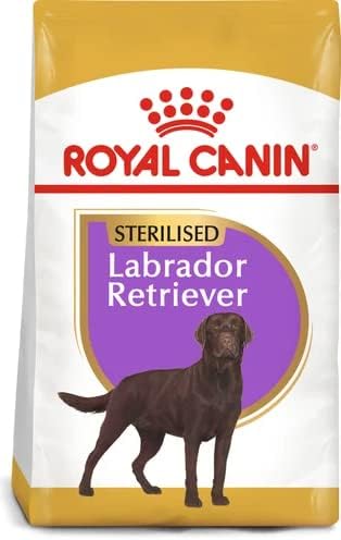 Royal Canin - Royal Canin Maxi Breed Labrador Retriever Sterilised Adult Capacity: 12kg - Image 1