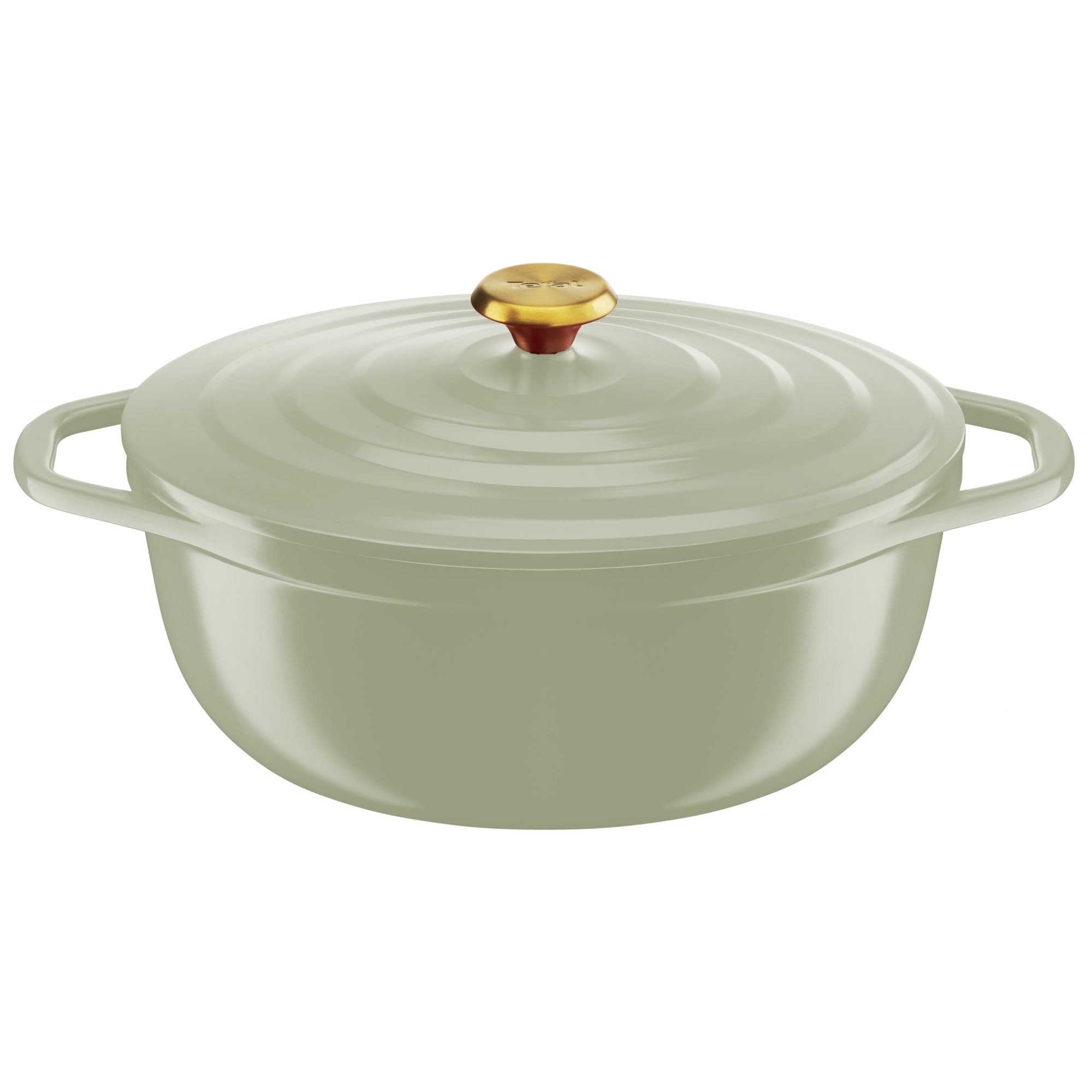 Tefal Cast Iron Casserole Dish Oval 30 cm, Light Weight Cast Aluminium Casserole Dish, Easy Cleaning, Safe Ceramic Coating, Condensing Lid, Oven Compatible, Induction, Air E2668925 - Image 1