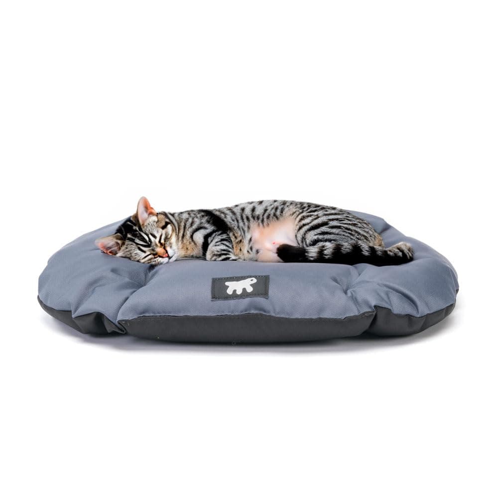 Ferplast Lit pour chien Coussin pour chien Petits chiens Tissu anti-rayures Lavable en machine à 30° Matelas imperméable pour chien 43 x 30 x 3 cm Gris