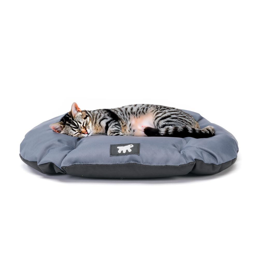 Ferplast Lit pour chien Coussin pour chien Petits chiens Tissu anti-rayures Lavable en machine à 30° Matelas imperméable pour chien 43 x 30 x 3 cm Gris - Image 1