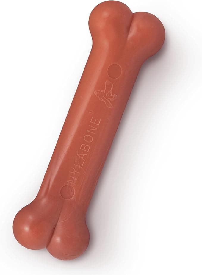 Nylabone Dura Heavy Duty Chew Toy, Bacon Aroma Chew Toy for Dogs Extreme Chewing, Extra Small for Dogs up to 7kg