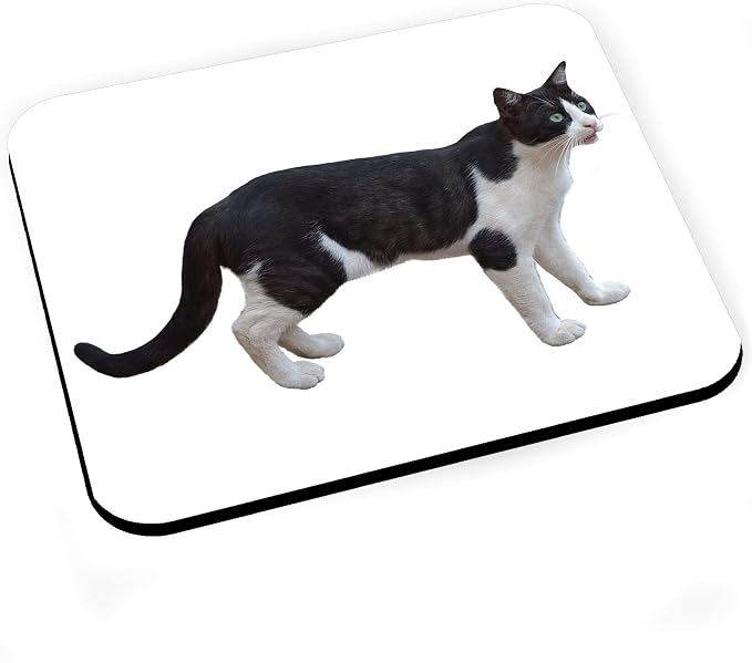 Felix Mouse Mat for Cat Black and White - Image 1
