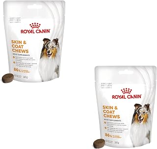 Skin Coat Chews | Double Pack | 2 x 240g | Treats for Adult Dogs of All Sizes and Breeds | in Resealable Bag | Developed With Veterinarians - Image 1