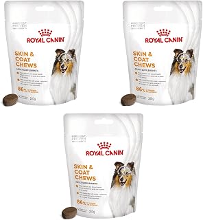 Skin Coat Chews | 3 Pack | 3 x 240g | Treats for Adult Dogs of All Sizes and Breeds | in Resealable Bag | Developed With Veterinarians - Image 1