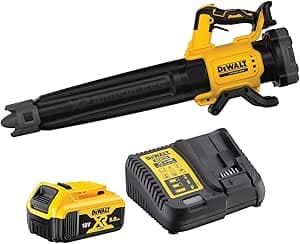 DEWALT DCMBL562P1-QW XR 18V 5Ah-200km/h 1 Cordless Blower, Concent Nozzle Airflow - With Battery