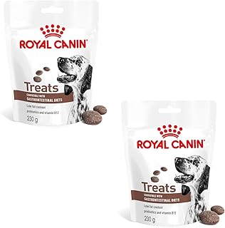 Veterinary Gastrointestinal Treats | Double Pack | 2 x 230g | Snacks for Adult Dogs of All Sizes and Breeds | in Resealable Bag | Low Fat - Image 1