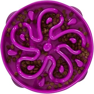 Outward Hound Fun Feeder Slo Bowl - Slow Feeder Dog Bowl - No Bloat - No Choke - Large - Purple - Image 1
