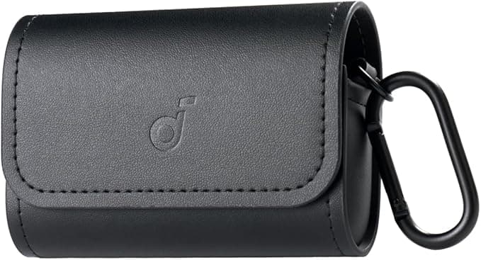 soundcore by Anker, Travel Case for AeroFit Series, Suitable for All AeroFit Earphones, Anti-scratch, Portable, Magnetic Closure, Black