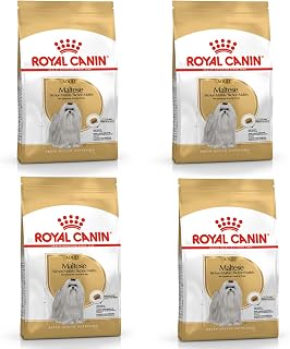 Royal Canin Maltais Adulte | Pack de 4 | 4 x 500 g | Croquettes pour Maltais Adultes | pour Soutenir Le Pelage et la Digestion | pour Chiens à partir de 10 Mois - Image 1