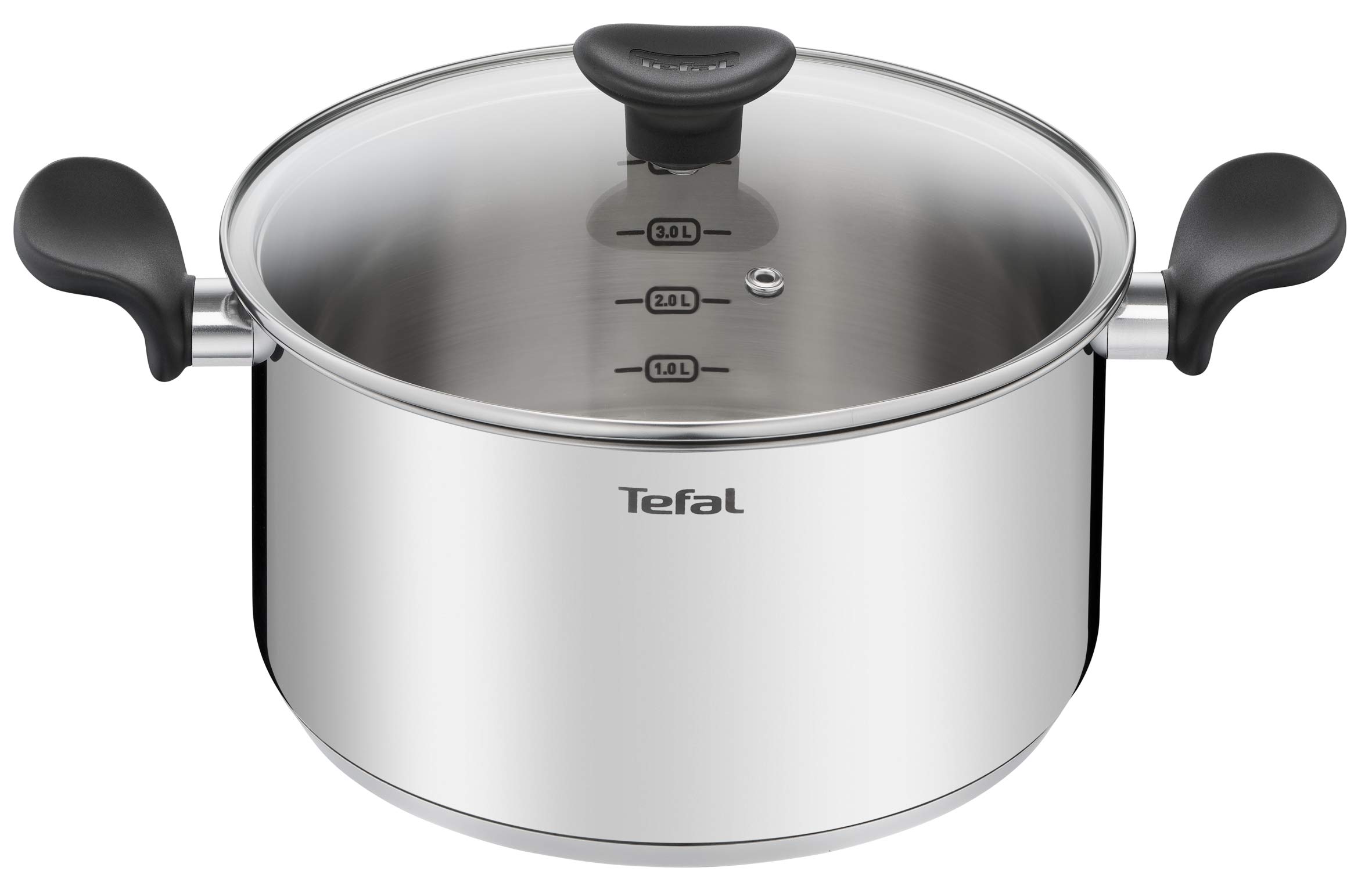 Tefal Primary E3084604 Cooking Pot 24 cm (5 L) + Glass Lid, Induction, High Quality Stainless Steel, 10-Year Warranty, Recipe Book