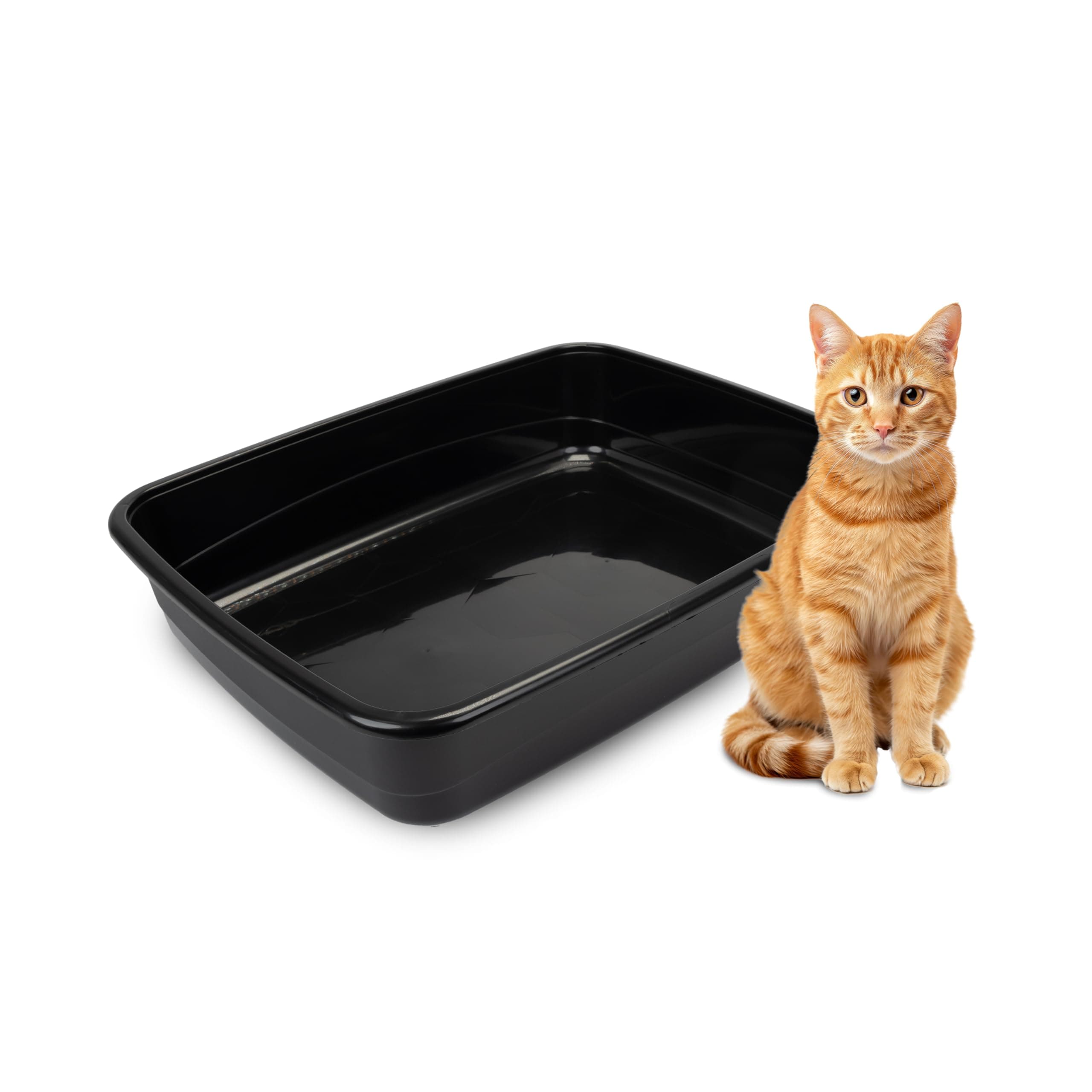 Ferplast Bac Litiere pour Chat, Maison de toilette pour Chat, Litière pour Animaux de Compagnie, avec Bords Hauts, 49,5 x 64,5 x H 14,5 cm, NIP 30 Grande Litière pour Chat, Noir