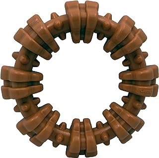 Nylabone DuraChew : Jouet à mâcher en Forme d’Anneau pour Chien - Image 1