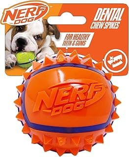Nerf Dog Balle à Picots en Caoutchouc thermoplastique Bicolore, Taille L