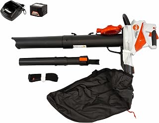SHA 56 Cordless Vacuum Cleaner (+ AK20 Battery + AL101 Charger) Battery - Image 1