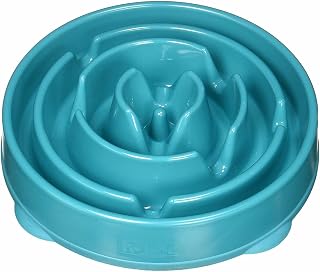 Outward Hound Fun Feeder Slo Bowl - Slow Feeder Dog Bowl - No Bloat - No Choke - Large - Turquoise - Image 1