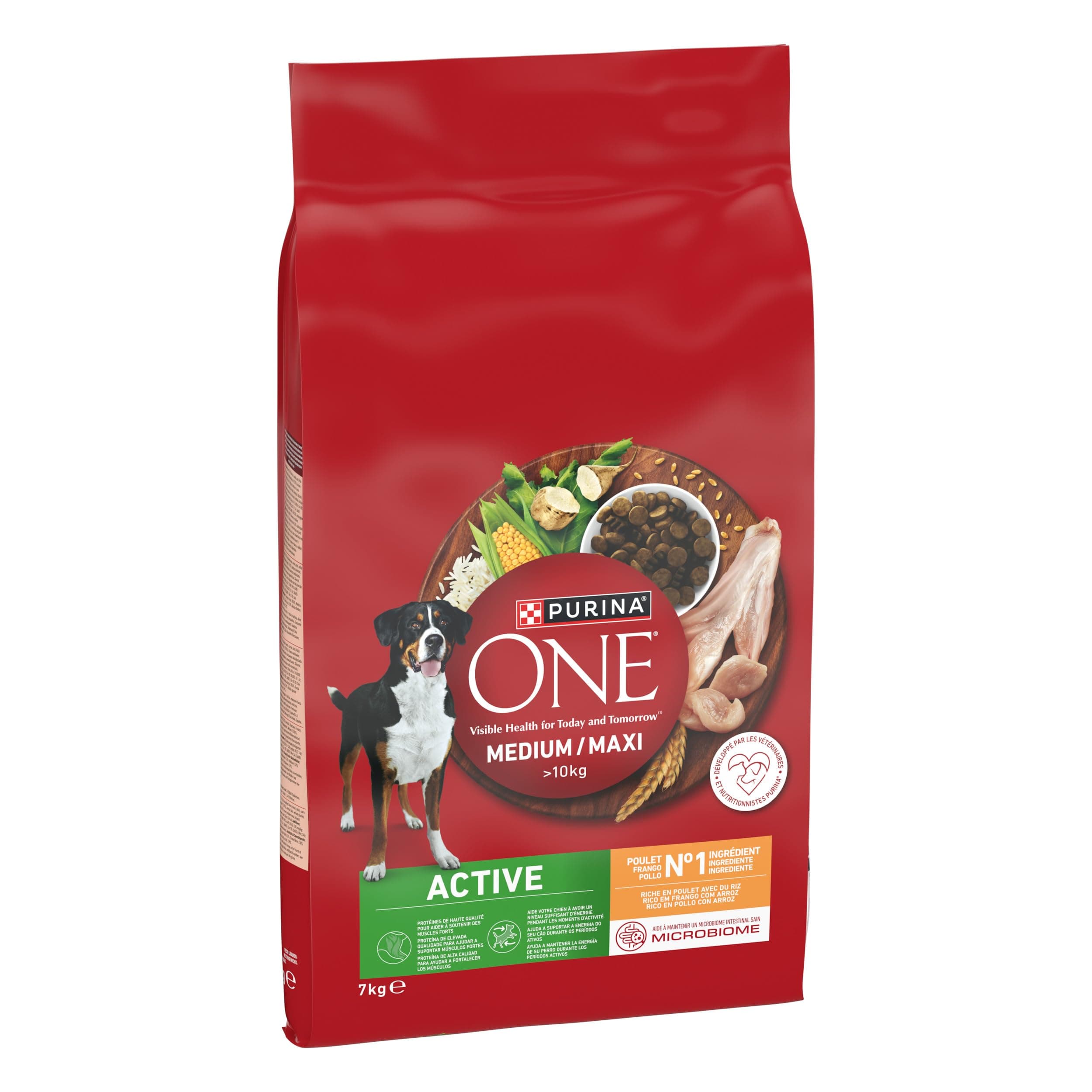 PURINA ONE | Active | Medium and Large Adult Dog > 10kg | High Protein Dry Food | Helps Maintain Strong Muscles and Sufficient Energy | Chicken | Bag | 7kg