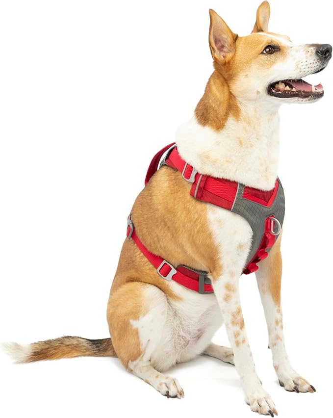 Kurgo K01940 Dog Harness for Small/Medium/Large Reflective for Footing Walking/Hiking Journey Air Style - Image 1