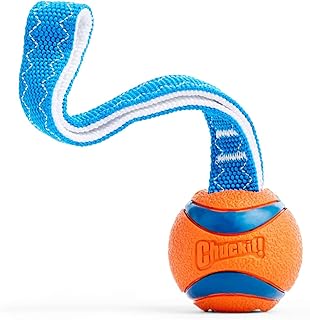 Chuckit Ultra Tug Jouet pour Chien 5 cm Taille S - Image 1