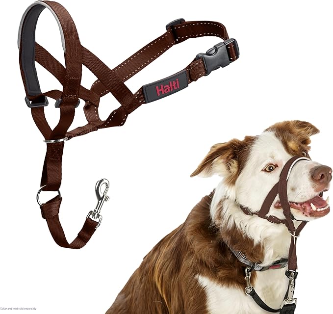 Halti Halter – To Stop Pulling On His Leash, Fully Padded On The Snout, Anti-Pull Collars for Medium Dogs (Size 2, Walnut Brown) - Image 1