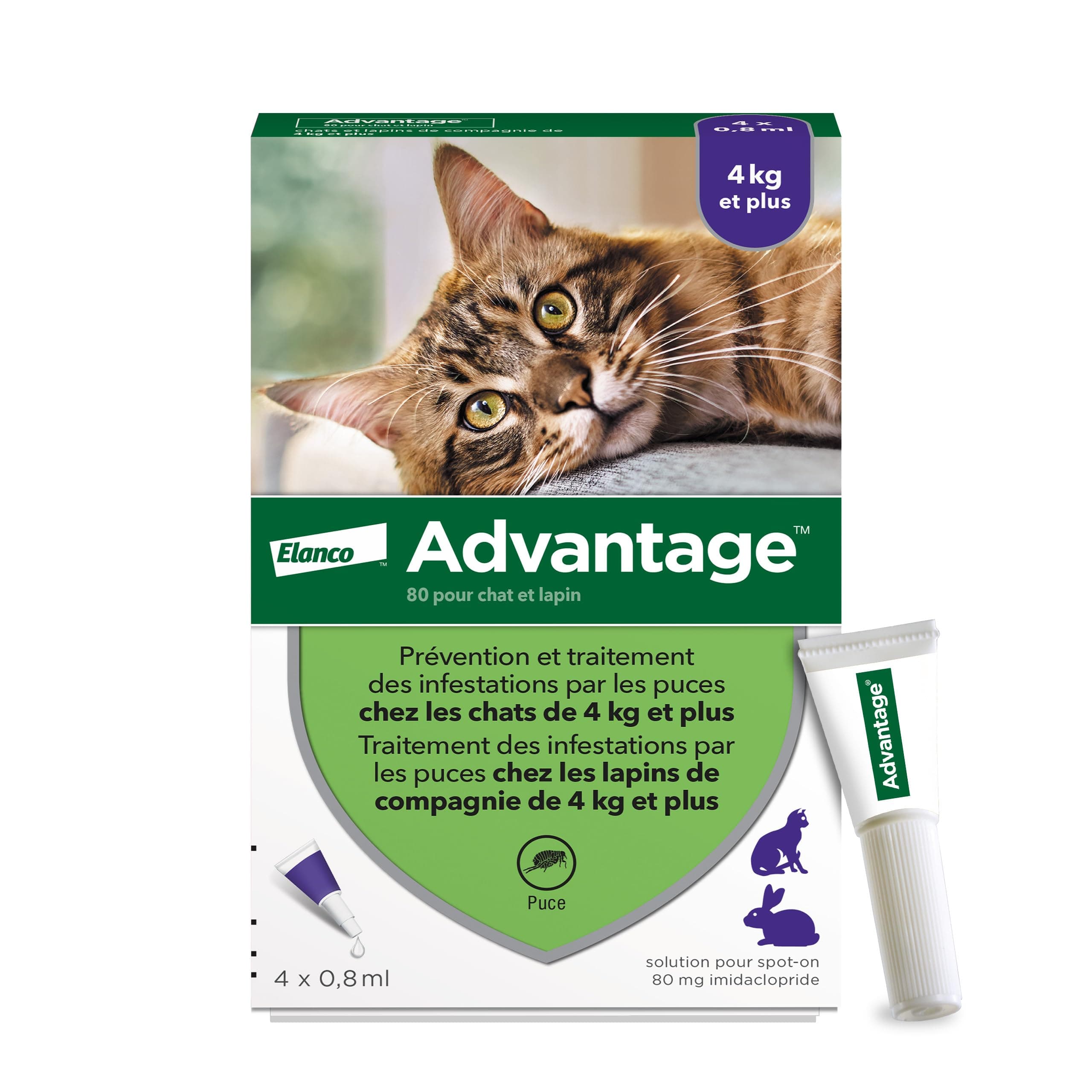 Advantage Cat & Rabbit Over 4 kg - Cat Flea Pipettes for Infestation Prevention - Flea Treatment with Protection for 3 to 4 Weeks - 4 x 1ml