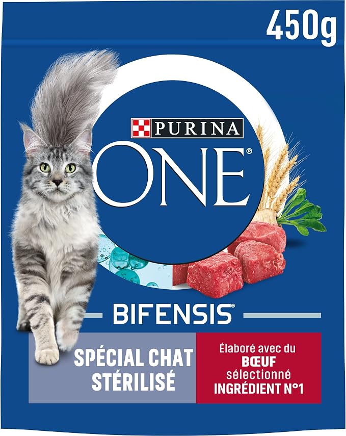 Purina One Special Beef/Wheat Dry Food for Sterilized Cat 450 g - Image 1