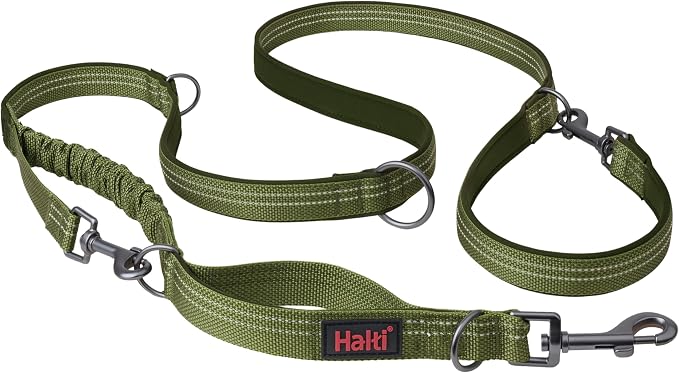 HALTI Anatomy Multifunctional Leash - Reflective Double Ended Shock Absorbing Leash Ideal for Walking and Training Dogs Suitable for Puppies (Large, Green) - Image 1