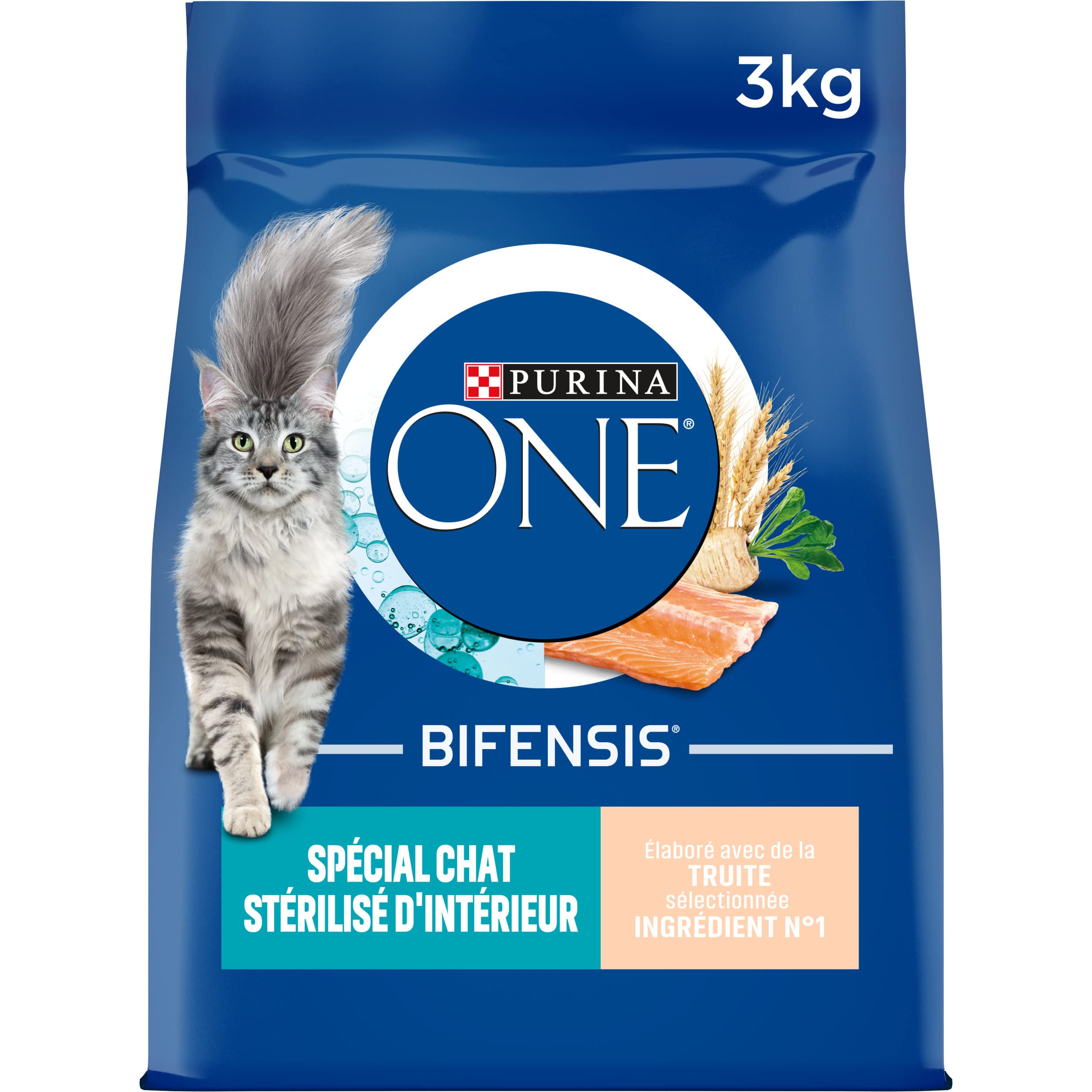 PURINA ONE | Benefits | Special Indoor Sterilized Cat | Dry Food | Helps control weight, maintain a healthy urinary system, removes stomach hair | Trout | Bag - Image 1