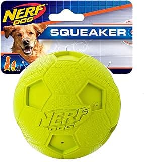 Nerf Dog Balle couineur de Football Vert Taille L 10,2 cm
