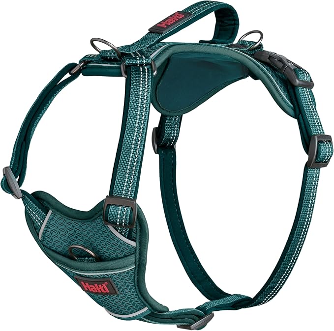 HALTI Anatomy Dog Harness with Handle - Gives Your Dog Freedom of Movement for a Comfortable Walk. 3 Attachment Points, Adjustable and Reflective (Size M, Teal) - Image 1