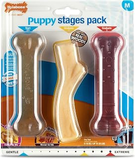Nylabone Puppy Stages Triple Pack, Démarreur De Poulet Doux À Mâcher, Bâton en Bois De Bacon À L'érable Diplômé, Os Extrême De Boeuf Jerky Diplômé, Taille Moyenne (1 Paquet De 3 Jouets À Mâcher) - Image 1