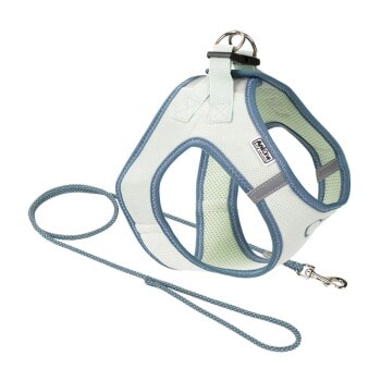AniOne Pepe & Kitty Set pour chiots vert & bleu XXXXS - Image 1