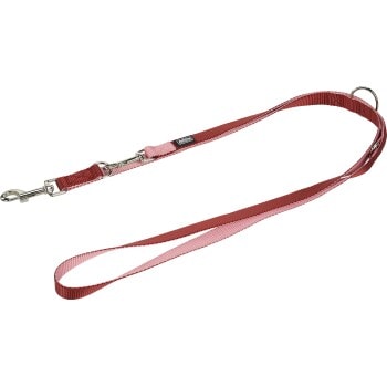 AniOne laisse de conduite 2 mètres XS - Image 1