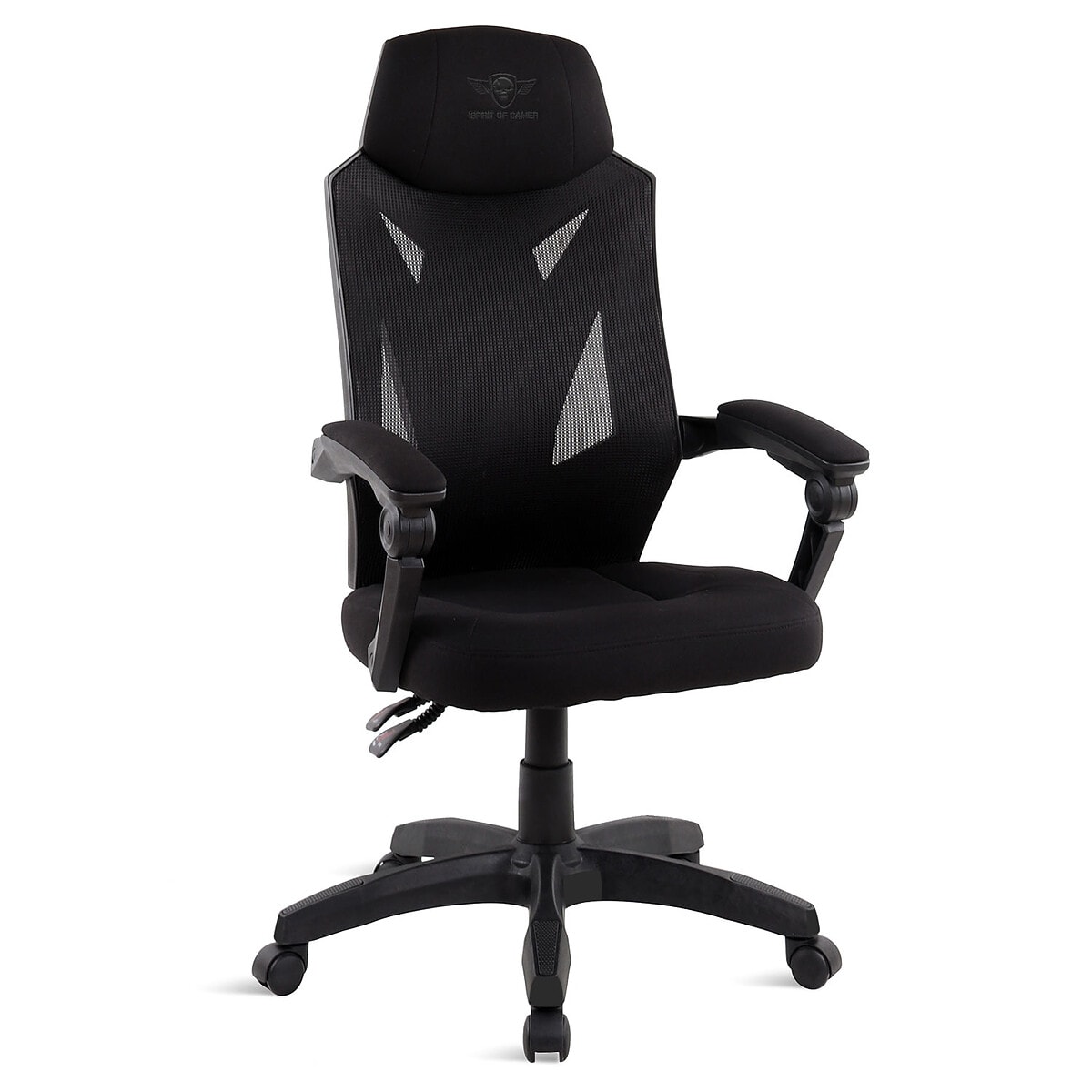 Spirit of Gamer Hellcat - Image 1